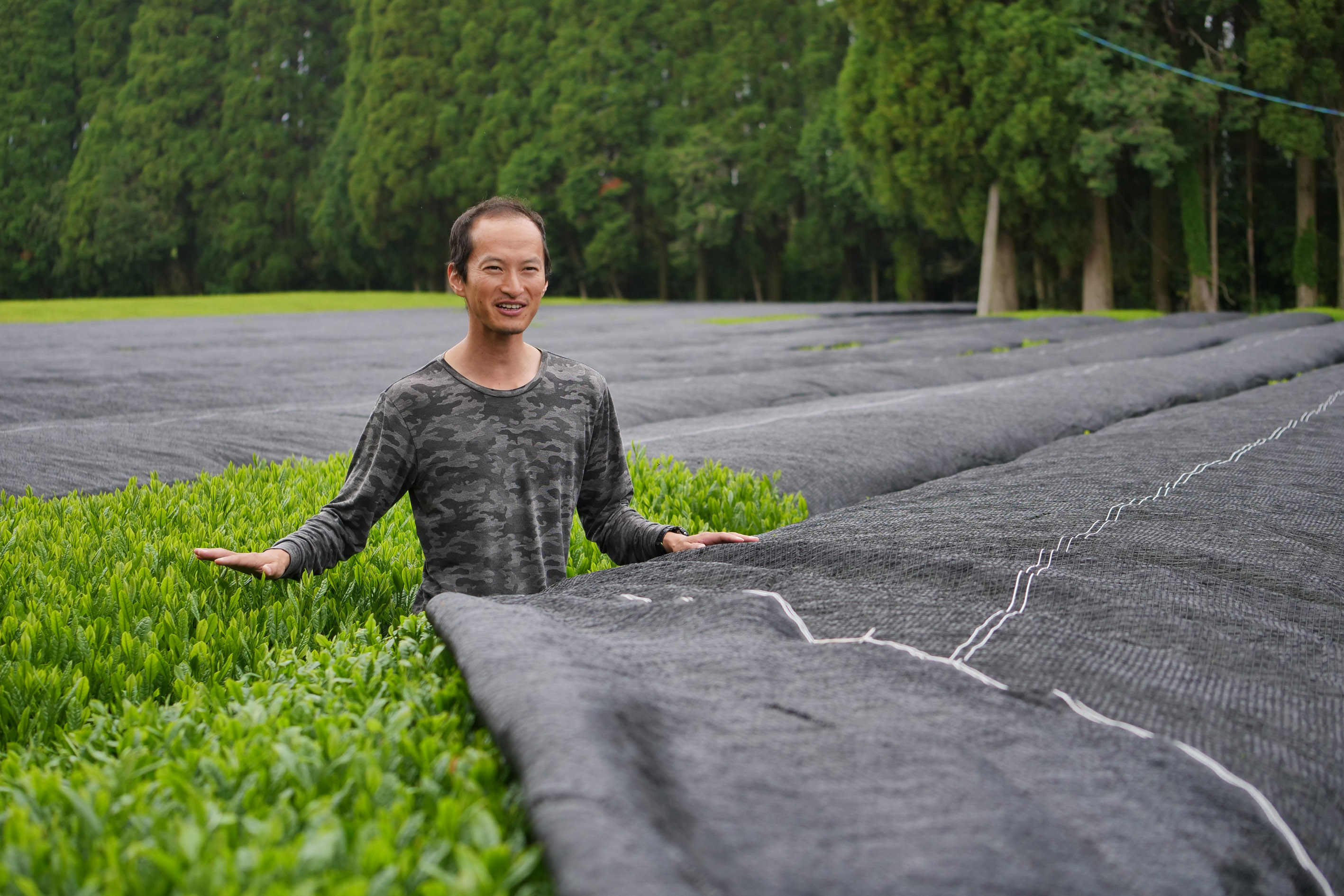 Shutaro Hayashi in seinem Asanoka Teegarten in Kirishima. Morgen beginnt hier die Ernte.