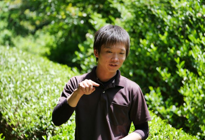 Yusuke Kadota im wohl schmalsten Teegarten Japans